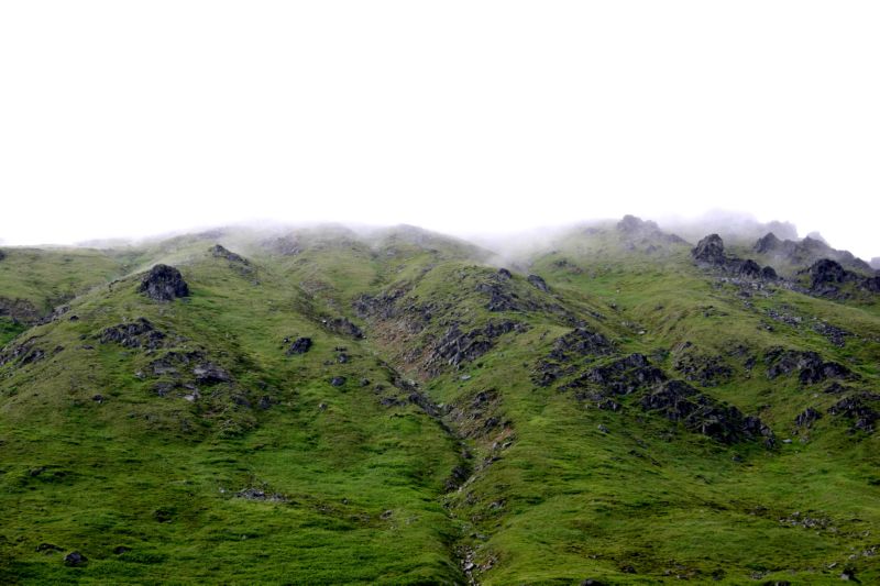 070404 Hope Hatcher Montana Creek (10161)
